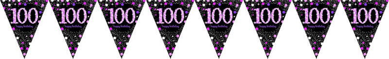 Pink Celebration 100 Birthday Prismatic Pennant Banner