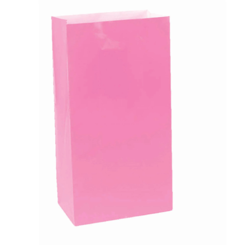 Large Paper Treat Bags Pink Pack of 12
